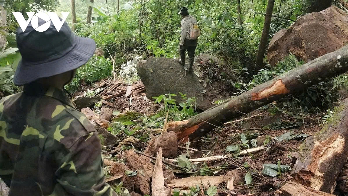 Earthquakes trigger landslides in central Vietnam